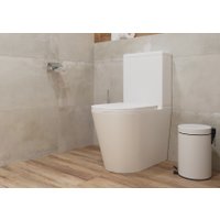 Унитаз напольный Lauter W76 P-TRAP 21122762 + гигиенический душ Infinity 21LT0103CH (горизонтальный выпуск)