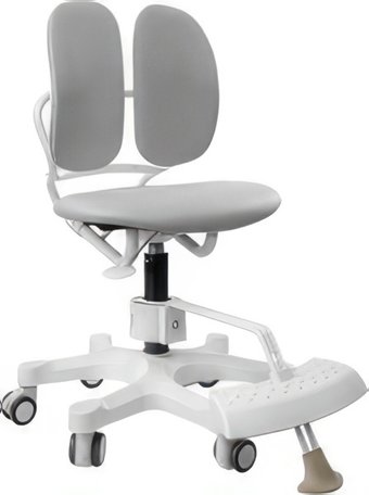 Компьютерное кресло Duorest DR-289SF 3EGY1 Eco (ткань, серый)