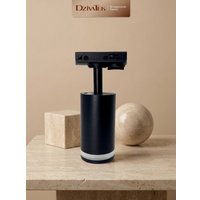 Трековый светильник DzivaTek 61136