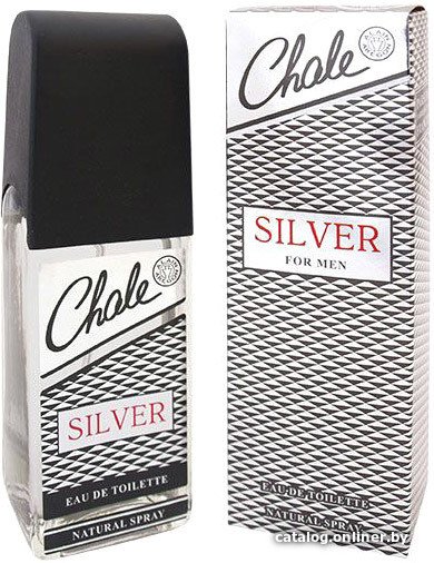 Туалетная вода Positive Chale Silver EdT (100 мл)