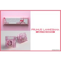 Клавиатура Akko ACR 98 Mini Prunus Lannesiana (Akko CS Jelly Pink)