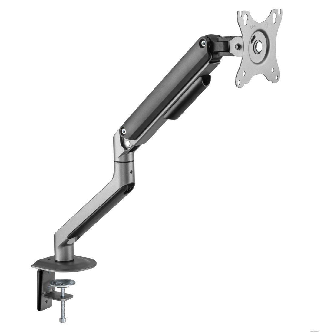 Кронштейн для монитора ErgoSmart Space Grey