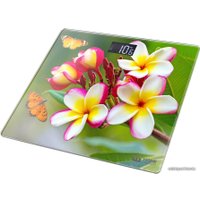 Напольные весы Home Element HE-SC904 (плюмерия)
