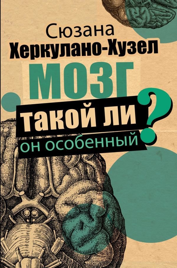 

АСТ. Мозг. Такой ли он особенный (Херкулано-Хузел Сюзанна)