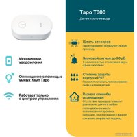 Центр управления (хаб) TP-Link Tapo T300