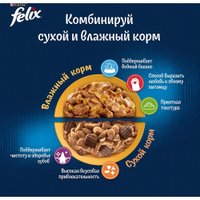 Пресервы Felix Sensations с курицей в желе с морковью 75 г (26 шт)