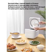 Мультиварка Xiaomi Mijia Rice Cooker C1 3L MDFBZ02ACM (с переходником на евровилку)