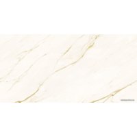 Керамогранит (плитка грес) Pamesa Aosta 500x1000