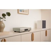 CD-проигрыватель Denon DCD-900NE (серебристый)