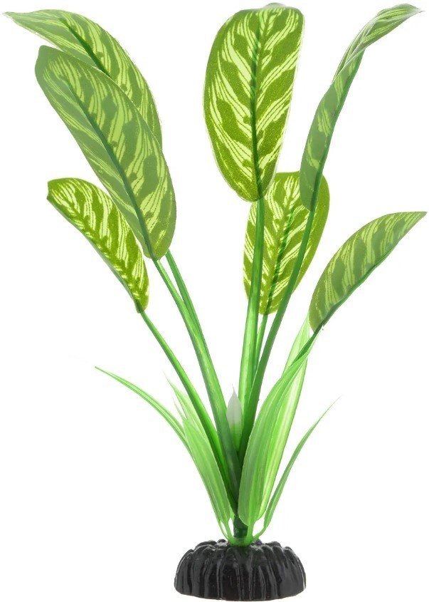 

Искусственное растение Barbus Диффенбахия тигровая Plant 036/20