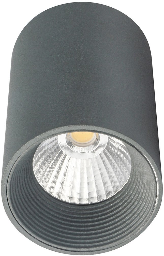 

Припотолочная люстра Escada 20003SMU/01LED SGY (серый матовый)