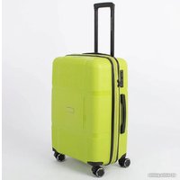 Чемодан-спиннер Francesco Molinary 341-AT309/3-23GRN (салатовый)