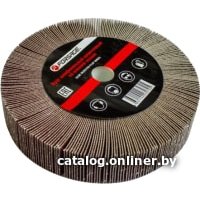 Шлифовальный круг FORSAGE F-FD240F