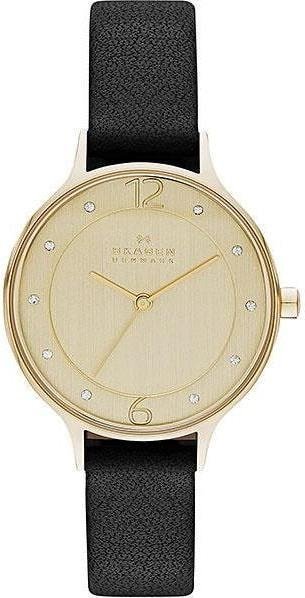 

Наручные часы Skagen SKW2266