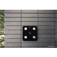 Напольные весы ACME SC101 (черный)