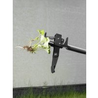 Корнеудалитель Palisad 62032