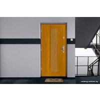 Металлическая дверь Gerda WX 10