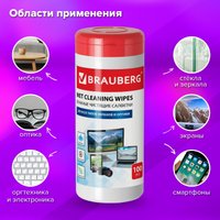 Влажные салфетки BRAUBERG 510122 (100 шт)