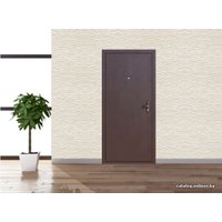 Металлическая дверь Йошкар Стройгост 5-1 (металл/металл)