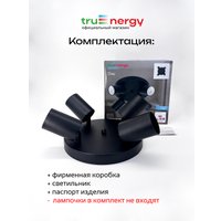 Припотолочная люстра TruEnergy 21492