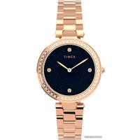 Наручные часы Timex TW2V24600