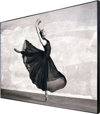 Картина Декарт 8Л3428