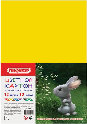 Набор цветного картона Пифагор 128011 (12 листов, 12 цветов)