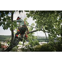 Бензопила Husqvarna T540 XP