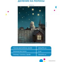 Фотообои ФабрикаФресок Кот на крыше 472270 (200x270)