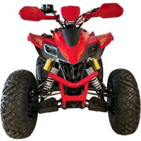 Квадроцикл Yacota Typhoon 250 LD (красный) в Могилеве
