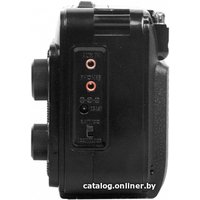 Радиоприемник Ritmix RPR-171