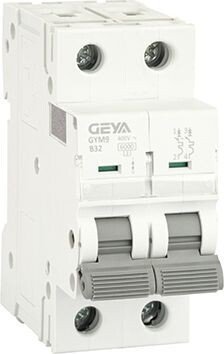 

Выключатель автоматический GEYA GYM9-2P-32B 2P 32A B 6kA 2M GYM92P32B