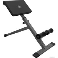 Гиперэкстензия DFC Homegym SJ1006 (серый)