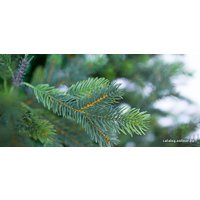 Ель Green Trees Сказочная Premium 8м