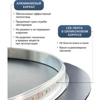 Зеркало с подсветкой  eMZe Smartphone 45x77 LED.UV.SMART.45.77.BEL (белый с УФ-окантовкой и подсветкой)