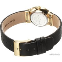 Наручные часы Skagen SKW2209