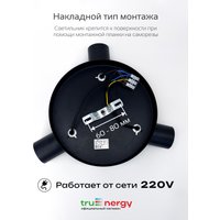 Припотолочная люстра TruEnergy 21490