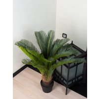 Искусственное растение Merry Bear Home Decor Пальма Саговая Цикас AR22083