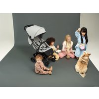 Коляска прогулочная «книга» Anex Air-z (mist Az-03)