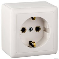 Розетка Schneider Electric ХИТ RA16-133I-B (белый)