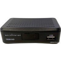 Приемник цифрового ТВ Goldmaster TR-501HD в Борисове