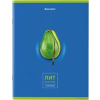 Тетрадь предметная BRAUBERG Avocado 404325 (10шт)