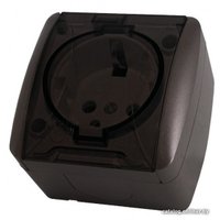 Розетка TDM Electric Селигер SQ1818-0207