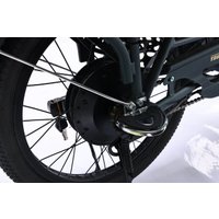 Электровелосипед MyWay Truck 1.0 500 24 (15, темно-зеленый)