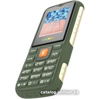 Кнопочный телефон TeXet TM-D400 (зеленый)