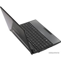 Нетбук Acer eMachines 355-N571G32Ikk (LU.NE50D.161)