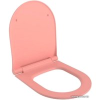 Сиденье для унитаза Ambassador Abner 102T20901S (розовый матовый)