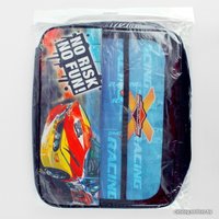 Папка для труда Пчелка Гонки ПТР-111