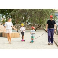 Трехколесный самокат Shulz ANT Mini (мятный)