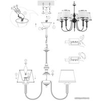 Подвесная люстра Arte Lamp Alice A3579LM-5AB